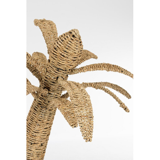 Palmier decorativ iarba de mare maro 80x80x135h