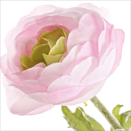 Ranunculus artificial 3 flori roz pudrat 60h