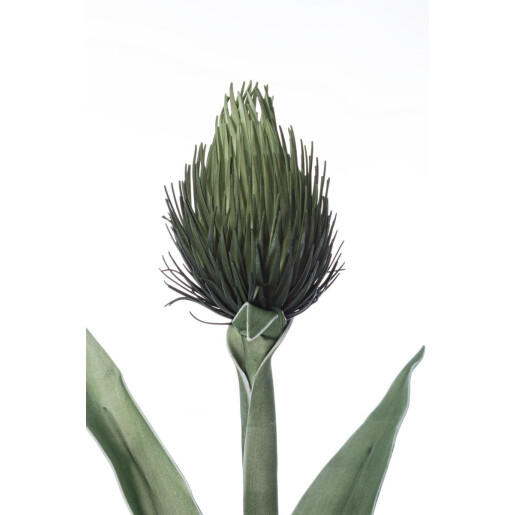 Set 3 flori artificiale verzi Pitaya 30x89h