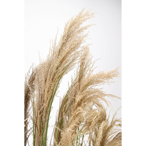 Pampas artificial in ghiveci 80x180 cm