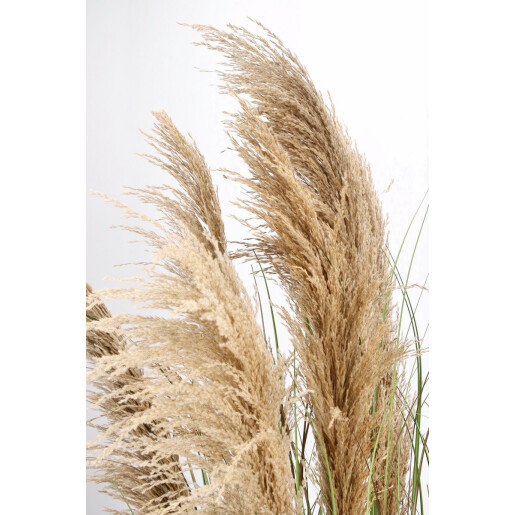 Pampas artificial in ghiveci 80x170 cm