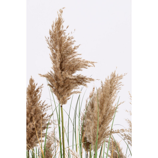 Pampas artificial in ghiveci 90x150 cm