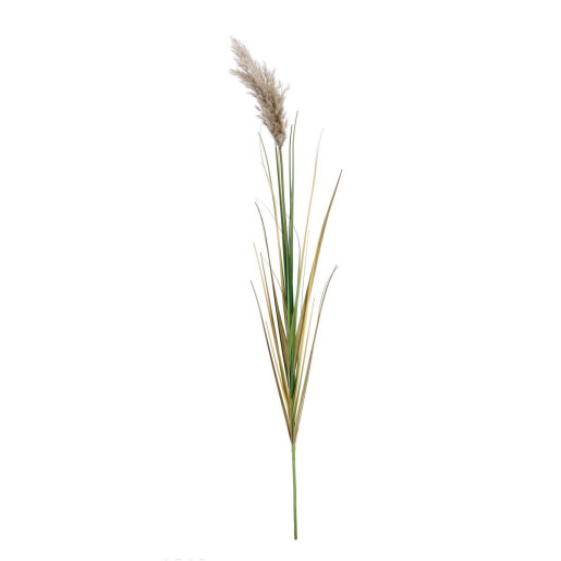 Set 5 Pampas artificial verde maro Ø18x140h