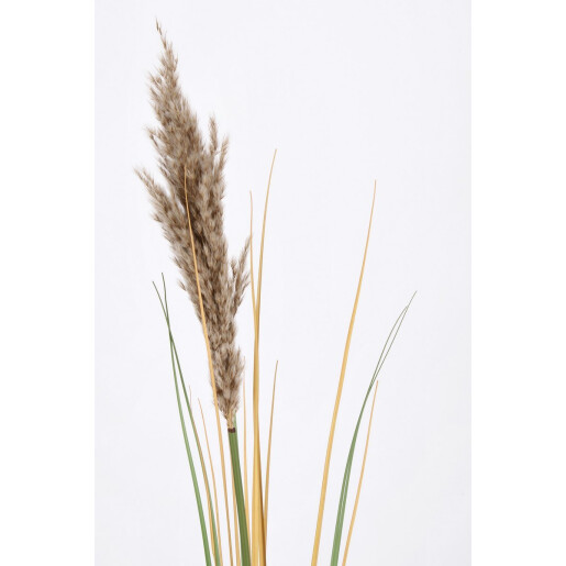 Set 25 flori Pampas artificial 12.7x110 cm