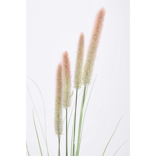 Set 25 flori artificiale Pennisetum Ø19x120h