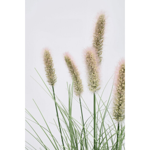 Set 20 flori artificiale Pennisetum Ø48x60h