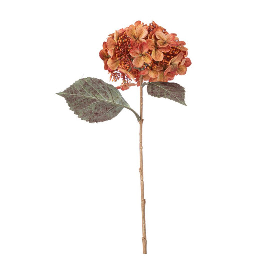 Set 3 Hortensii portocalii verzi 52h