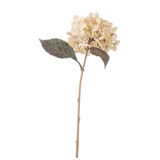 Set 3 Hortensii albe verzi 52h