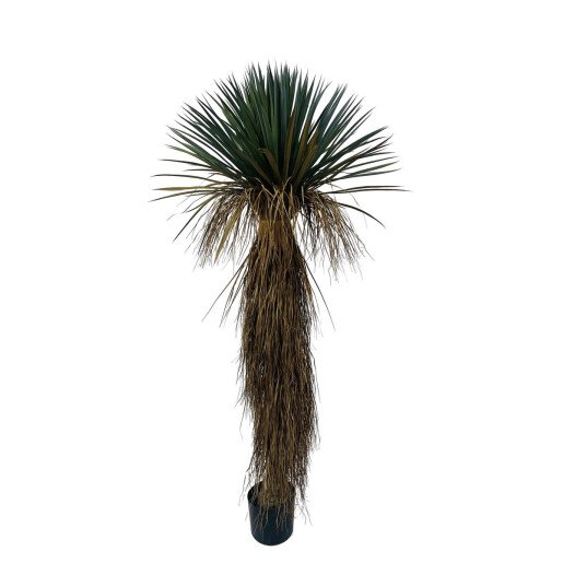 Planta Yucca artificiala in ghiveci 70x70x180h