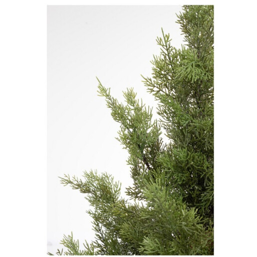 Chiparos artificial in ghiveci 120h