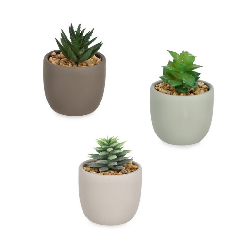 Set 3 plante suculente artificiale in ghiveci ceramica multicolora Ø7x10h