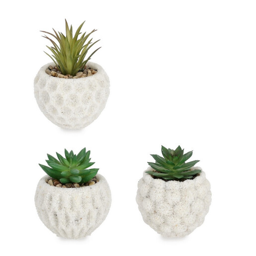 Set 3 plante suculente artificiale in ghiveci ciment Ø8x11,5h