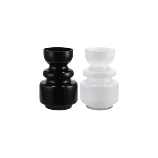 Set 2 vaze flori sticla alba neagra 20 x 30 cm