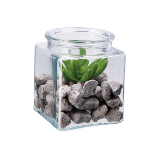 Aranjament plante suculente si piatra III 10 x 10 x 13 cm