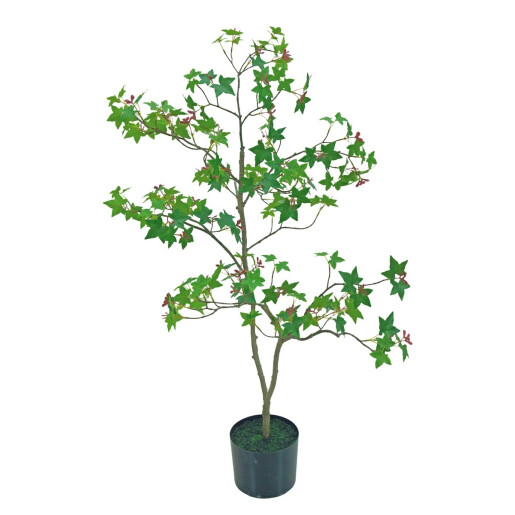 Artar verde in ghiveci  15 x 90 cm