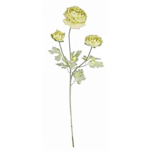 Set 12 flori artificiale Ranunculus verde 61 cm