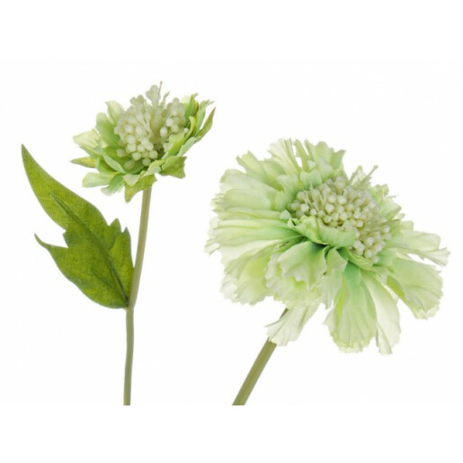 Set 12 flori artificiale albe verzi Scabiosa 51 cm
