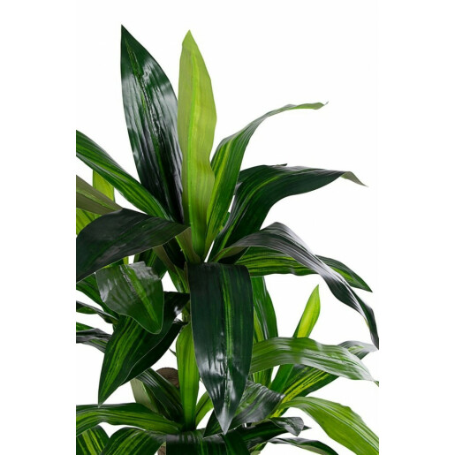 Planta artificiala Dracena 80x110 cm