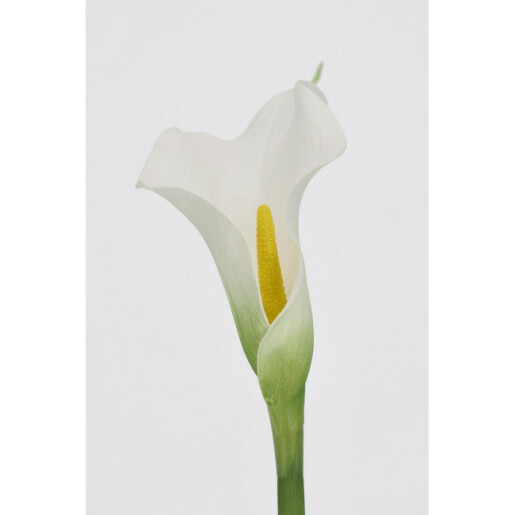 Set 3 Cale artificiale 8x61h