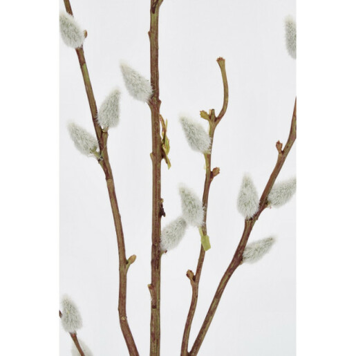 Set 3 crengute Salcie artificiala 96h