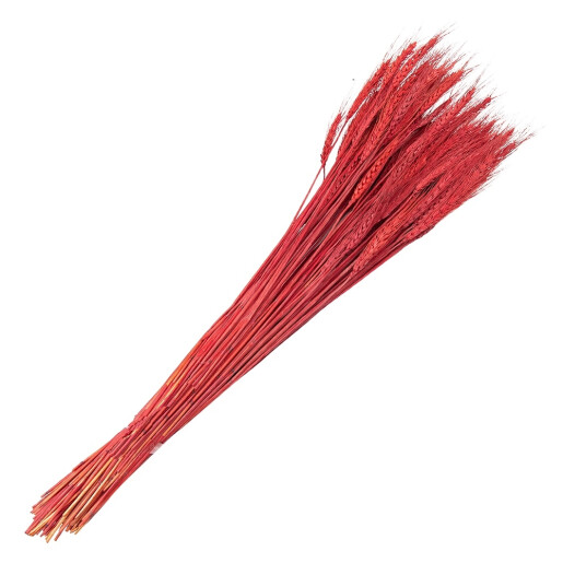 Buchet spice grau rosii 80 cm
