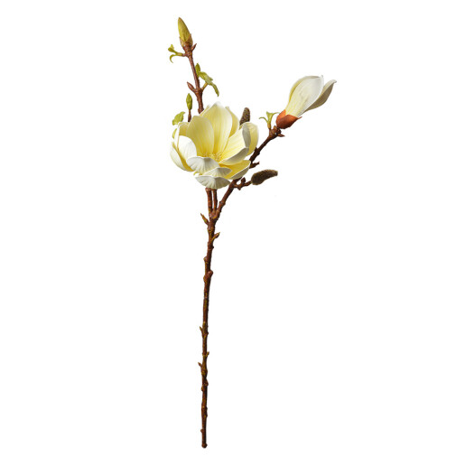 Magnolie artificiala galbena maro 17x11x70 cm