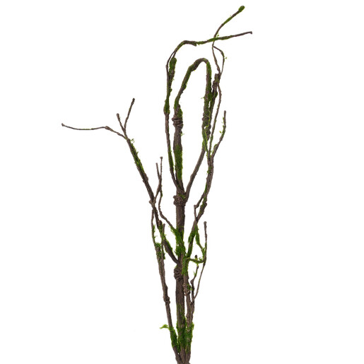 Creanga decorativa lemn maro verde 28x5x130 cm