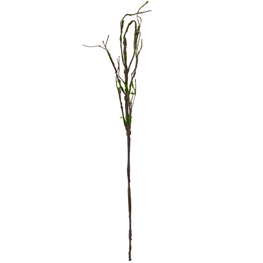 Creanga decorativa lemn maro verde 28x5x130 cm