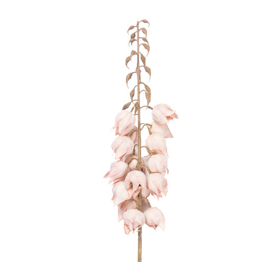 Floare artificiala roz maro 12x12x100 cm