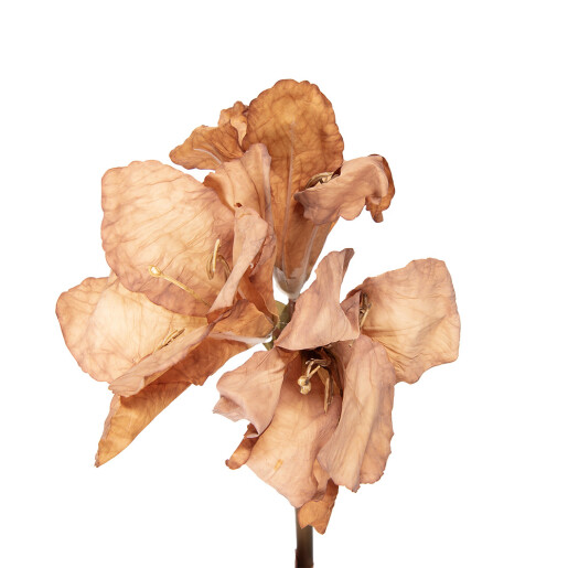 Floare artificiala maro 16x16x65 cm