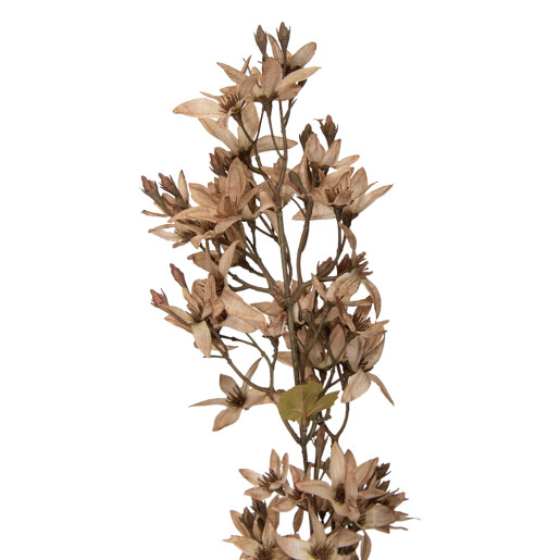 Floare artificiala alba maro 10x10x95 cm