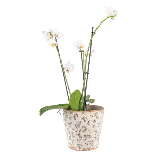 Ghiveci flori ceramica Leaf 17x16 cm