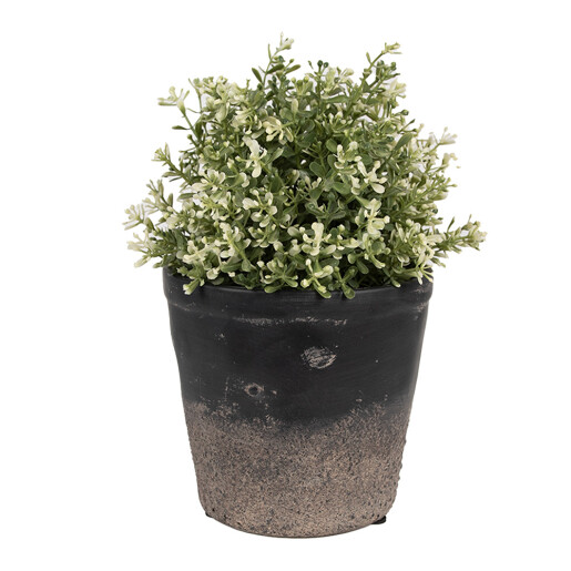 Ghiveci flori ceramica neagra maro 15x14 cm