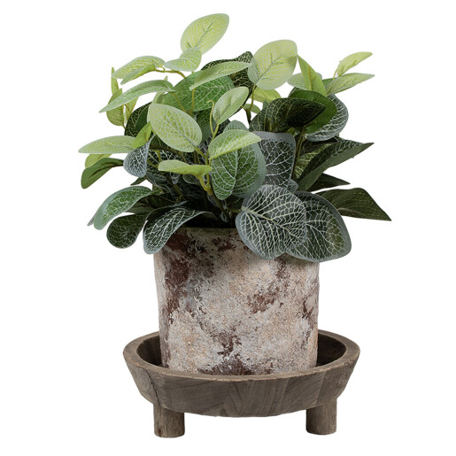 Suport ghiveci flori lemn maro 22x7 cm