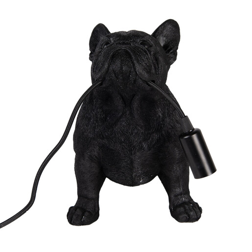 Veioza polirasina neagra Catelus 35x19x28 cm, E14