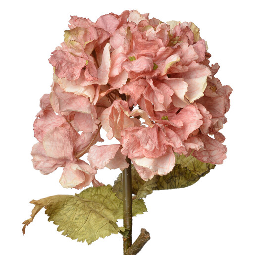 Hortensie artificiala roz verde 10x10x55 cm