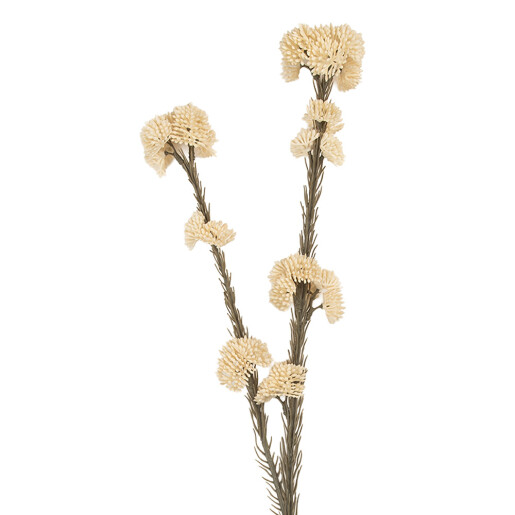 Floare artificiala alba maro 6x6x58 cm
