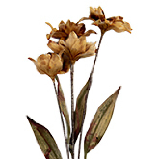 Floare artificiala 8x5x60 cm 
