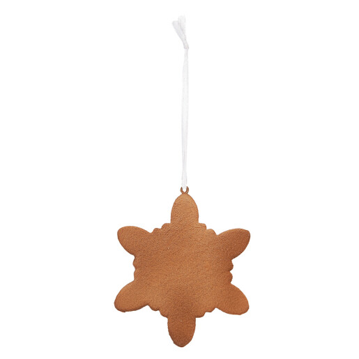 Set 2 ornamente polirasina Fulg Zapada Craciun 9x1x10 cm