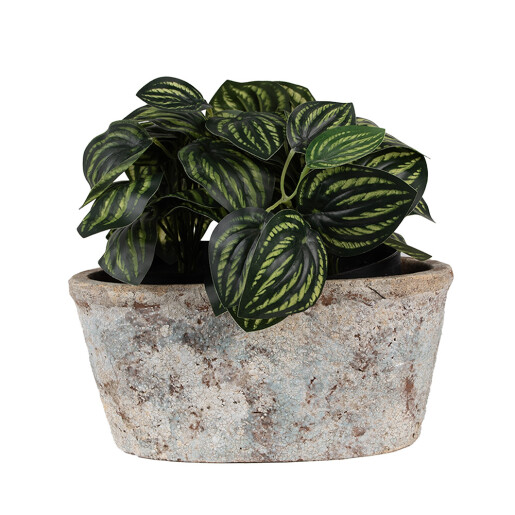 Ghiveci flori teracota bej albastra 26x13x12 cm
