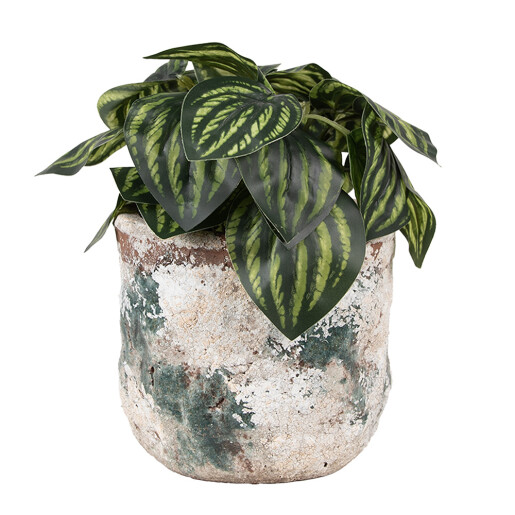 Ghiveci flori teracota bej maro verde 14x12 cm