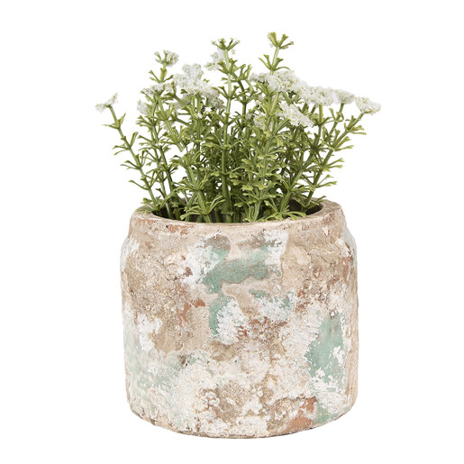 Ghiveci flori teracota bej verde 11x9 cm