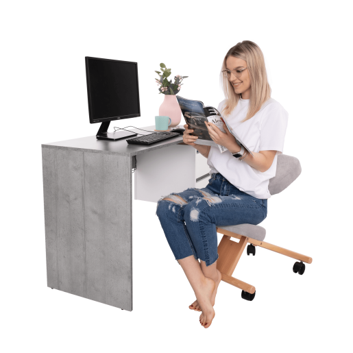 Scaun birou ergonomic gri-maro taupe fag Flonet 46x65x52-72 cm 