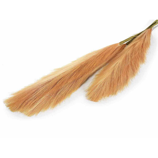 Set 8 flori Pampas artificial 105 cm