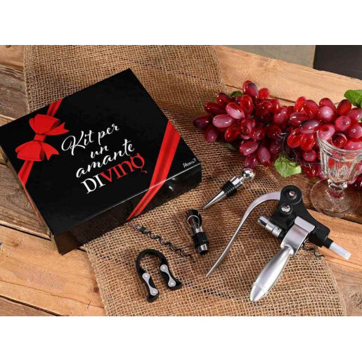 Set cadou, 4 ustensile pentru vin 22 x 20,5 x 6 H