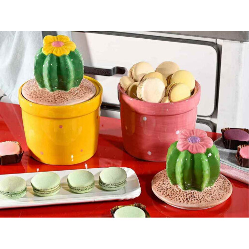 Set 2 borcane ceramica multicolora Cactus 13x19 cm