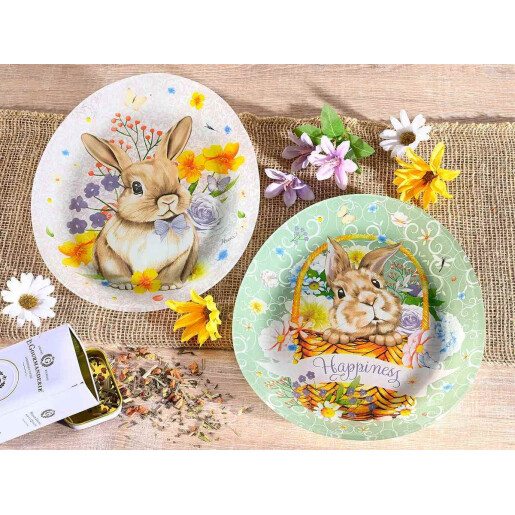 Set 2 platouri Paste sticla multicolora 24x20 cm