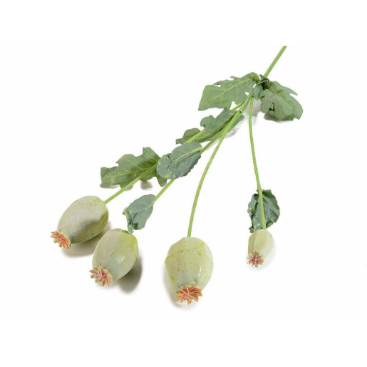 Set 3 plante bulbi Maci artificiali 60 cm