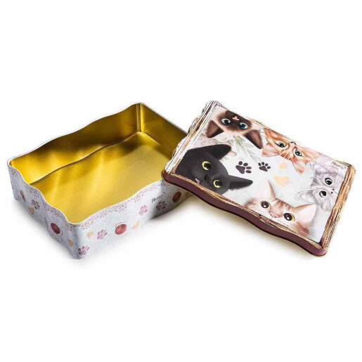 Cutie depozitare metal multicolor Pisicute 13 x 18 x 5 H