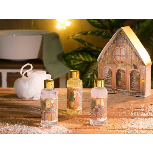 Set 3 geluri dus, cadou Craciun cm 15 x 4 x 19 H, 3x80 ml